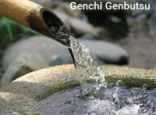 Genchi Genbutsu